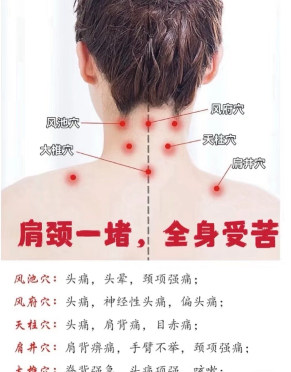 养肩养命肩颈,是人体的十字路口,是大脑的