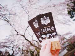 -醍醐寺