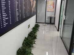 -新航道雅思托福·留学·考研培训(人民广场校区)