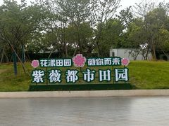 -武汉紫薇都市田园