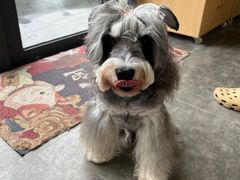 -爱诺耐芙动物医院(万博店)