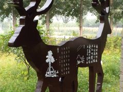 -北京麋鹿生态实验中心