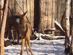 -北极村旅游风景区