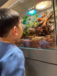 -Zoolung Zoolung动物主题公园(海信广场店)