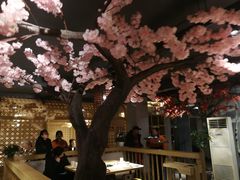 -香坝坝鲜鱼火锅(春熙路店)