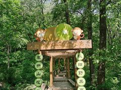 -大岭沟猕猴桃谷风景区