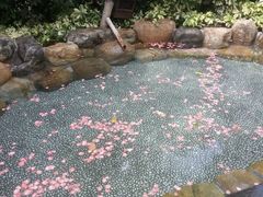 -厦门日月谷温泉渡假村