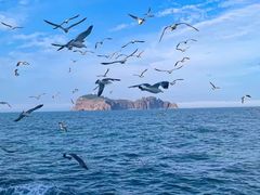 -海驴岛(荣成市)