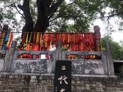 -大槐树寻根祭祖园