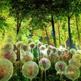 最后一天最后一小时的园博会 [加油]