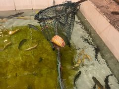 -钰田大院·怀柔地道农家菜·烤虹鳟鱼(雁栖湖店)