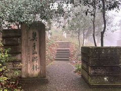 -莫干山风景区