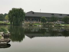 -万柳高尔夫俱乐部