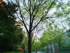 -岚宫私厨(广仁寺店)