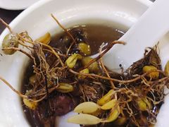 -春梅里卤鹅馆·47年老字号(中山路店)