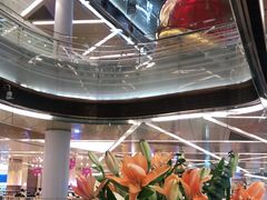 -盒马鲜生(丁香国际店)