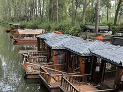 -合肥滨湖国家森林公园