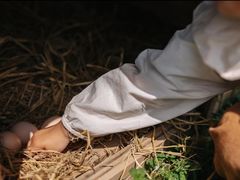 -马陆小张葡萄园农家乐