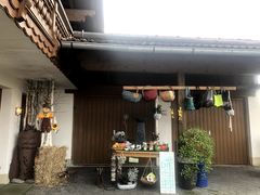 -柯尼希湖