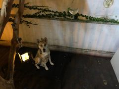 -阿兹凯乐·老洋房西餐