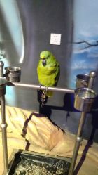 -酷嗒动物文化乐园(cutezoo西溪乐天城店)