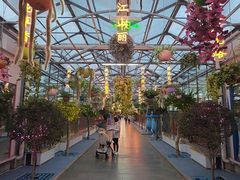 -南宫五洲植物乐园