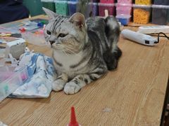 -觅时光手作·香薰·拼豆豆·陶艺DIY