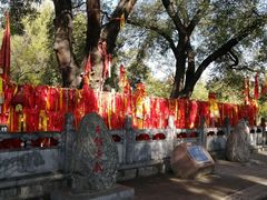 -大槐树寻根祭祖园