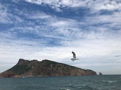 -长岛万鸟岛
