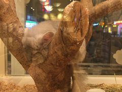 -龙猫仔乐园(惠福东路店)