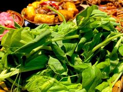 -阳阳老火锅(小南门店)