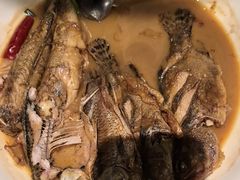 -丹江渔村(望京店)