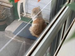 -吃饼人西餐(南开店)