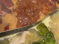 -朱光玉火锅馆(正弘城店)