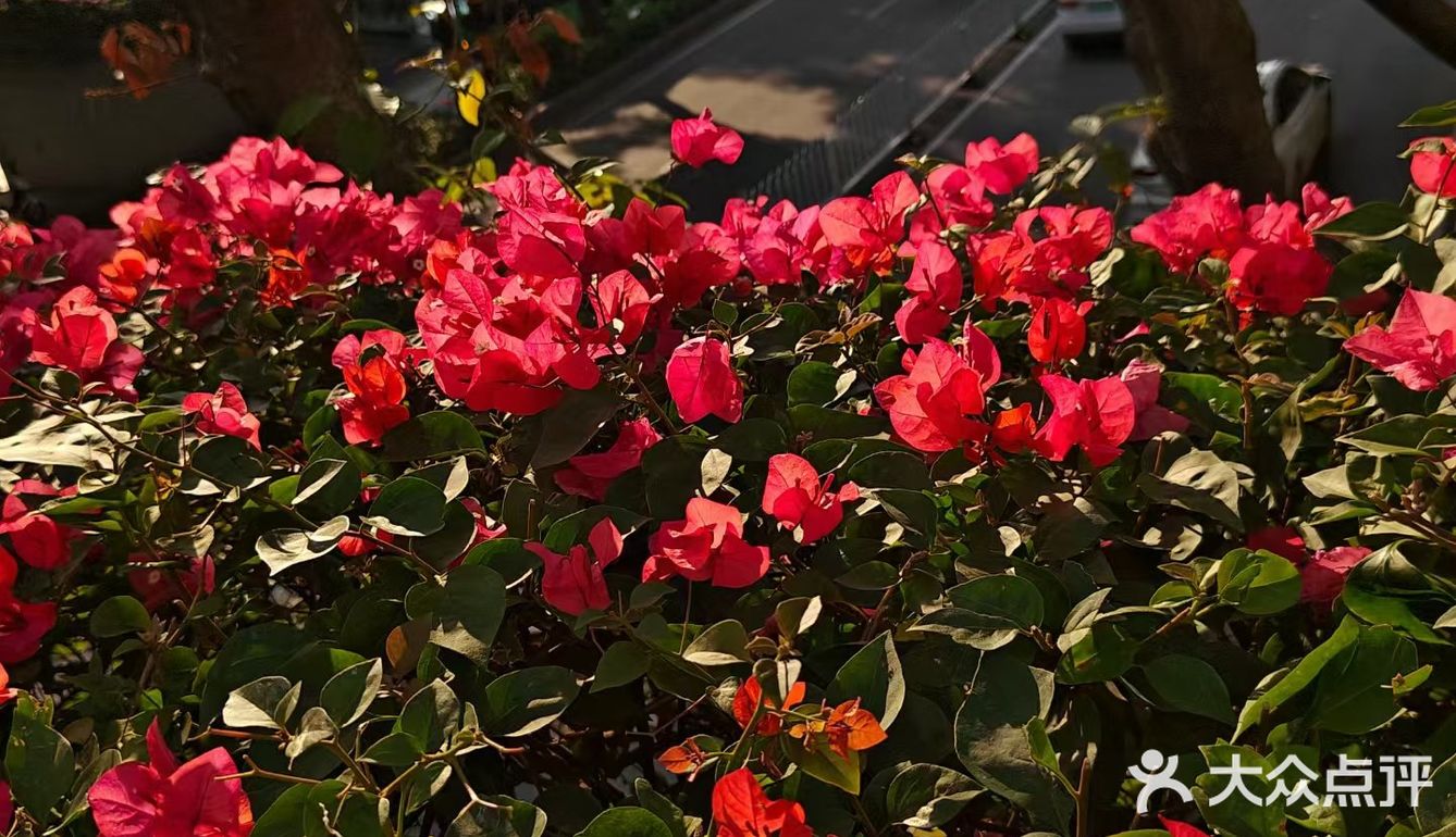 浪漫时刻小记录