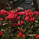 浪漫时刻小记录