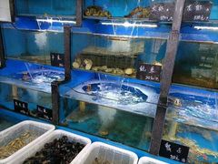 水产区-桔子海鲜烧烤大排档(金沙滩店)