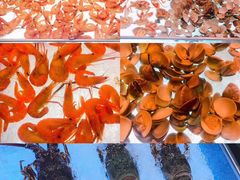 -博林天瑞喜来登酒店·西丽尚膳