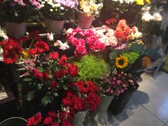 -北国之春国宴(乌兰察布店)