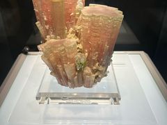 -安徽省地质博物馆