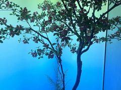 -金悦足道(宝岗大道店)