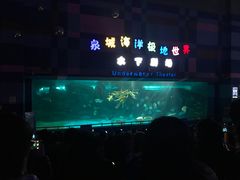 -泉城欧乐堡戏水湾艺术养生温泉