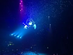 -珠海横琴长隆《卡卡虎奇遇记》