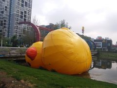 -长白岛森林公园