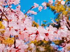 -朝阳公园