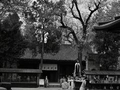 -西安大兴善寺