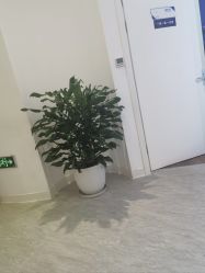 -天津伊美尔医疗整形美容专科医院