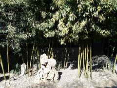android_upload_pic-王家大院