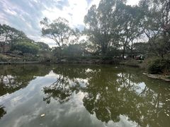 -汇龙潭