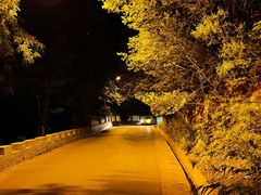 -鬼笑石后山停车场